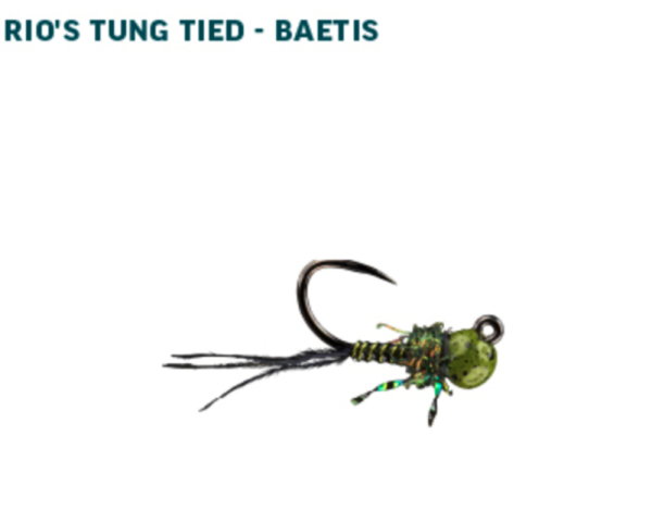 RIO Euro Nymph Fly Assortment RIO Euro Nymph Fly Assortment